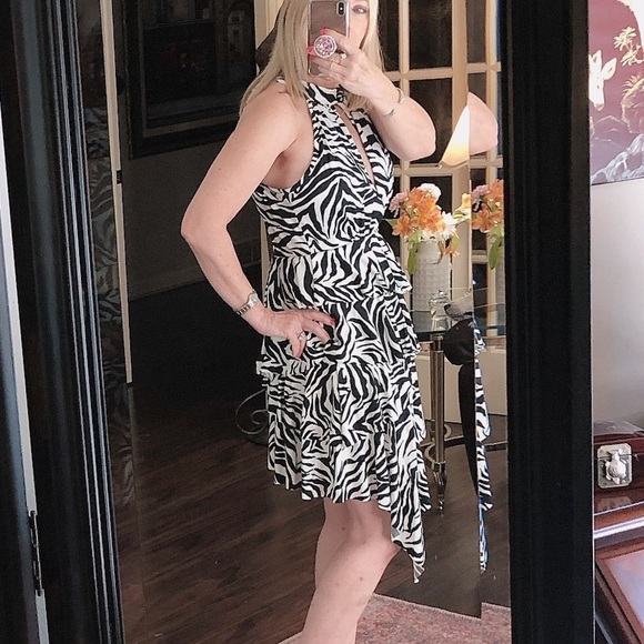 BNWOT CODIGO zebra stripe asymmetrical dress - Picture 2 of 8